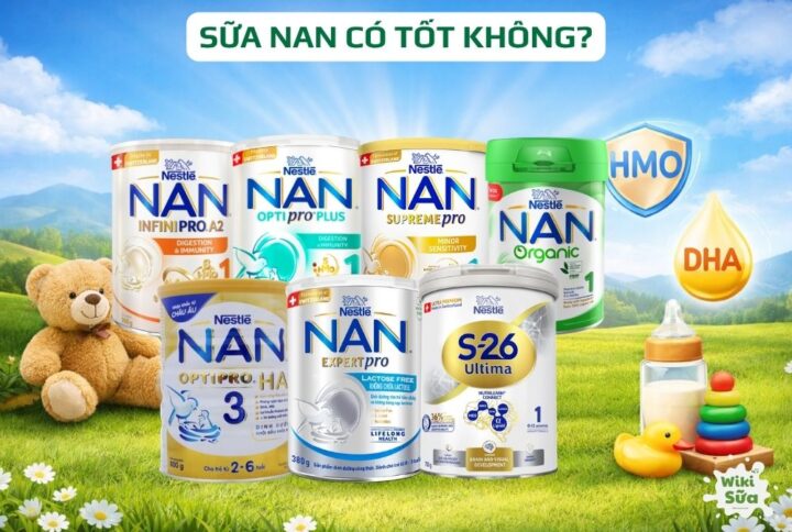 sữa nan có tốt không