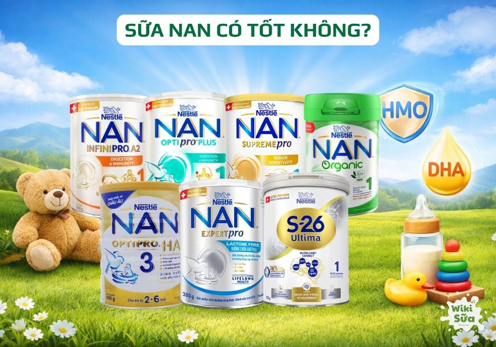 sữa nan có tốt không
