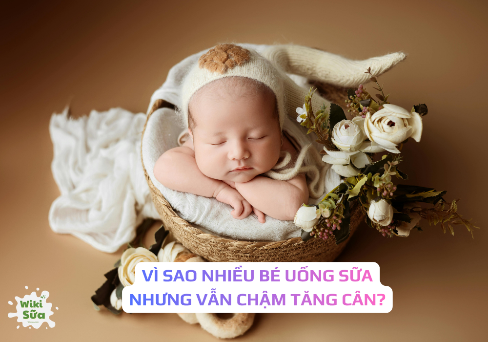 Tăng cân không chỉ phụ thuộc vào sữa mà còn ở khả năng hấp thu và cách chăm sóc bé 