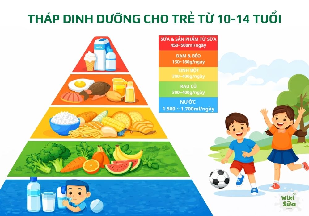 tháp dinh dưỡng cho trẻ 10-14 tuổi