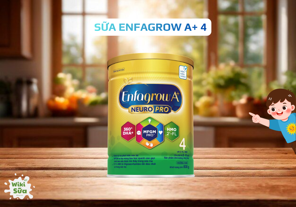 Sữa Enfagrow A+ 4 – DHA kết hợp MFGM giúp trẻ 5 tuổi phát triển trí não và cảm xúc. (Nguồn: Wiki Sữa)