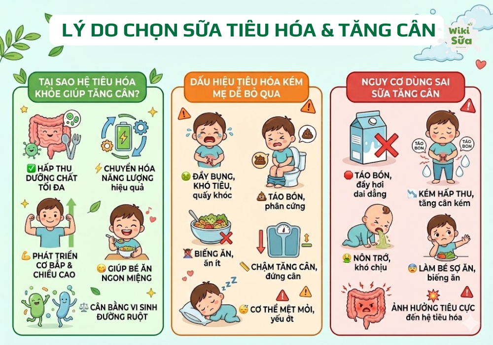 lí do nên chọn sữa tốt cho tiêu hóa và tăng cân