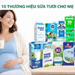 sữa tươi cho mẹ bầu