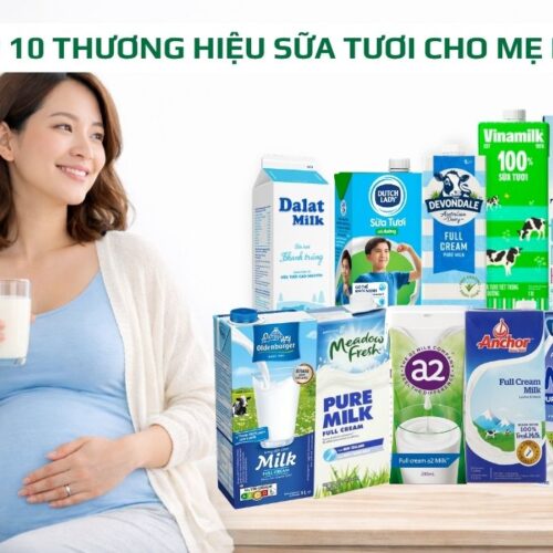 Top 10 thương hiệu sữa tươi cho mẹ bầu được ưa chuộng nhất hiện nay