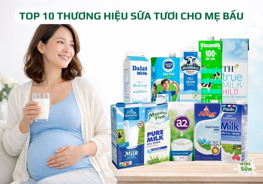 sữa tươi cho mẹ bầu