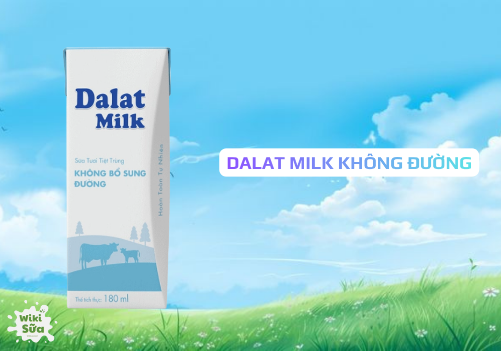 Dalat Milk – sữa không đường từ cao nguyên Lâm Đồng, vị thanh nhẹ, dễ uống cho mẹ bầu. 