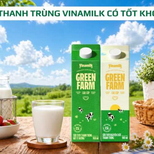 Sữa tươi thanh trùng Vinamilk có tốt không? Review chi tiết từ A–Z