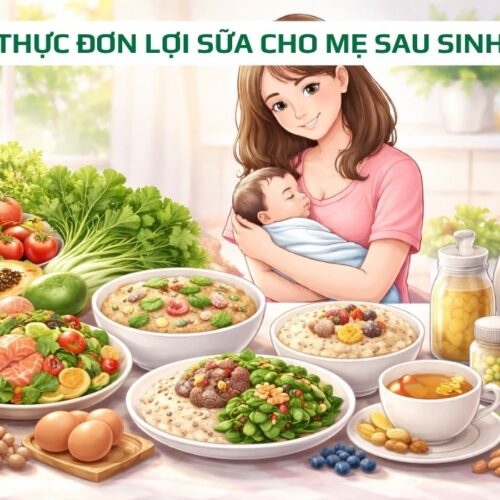 Thực đơn lợi sữa cho mẹ sau sinh: Bí quyết gọi sữa về tự nhiên