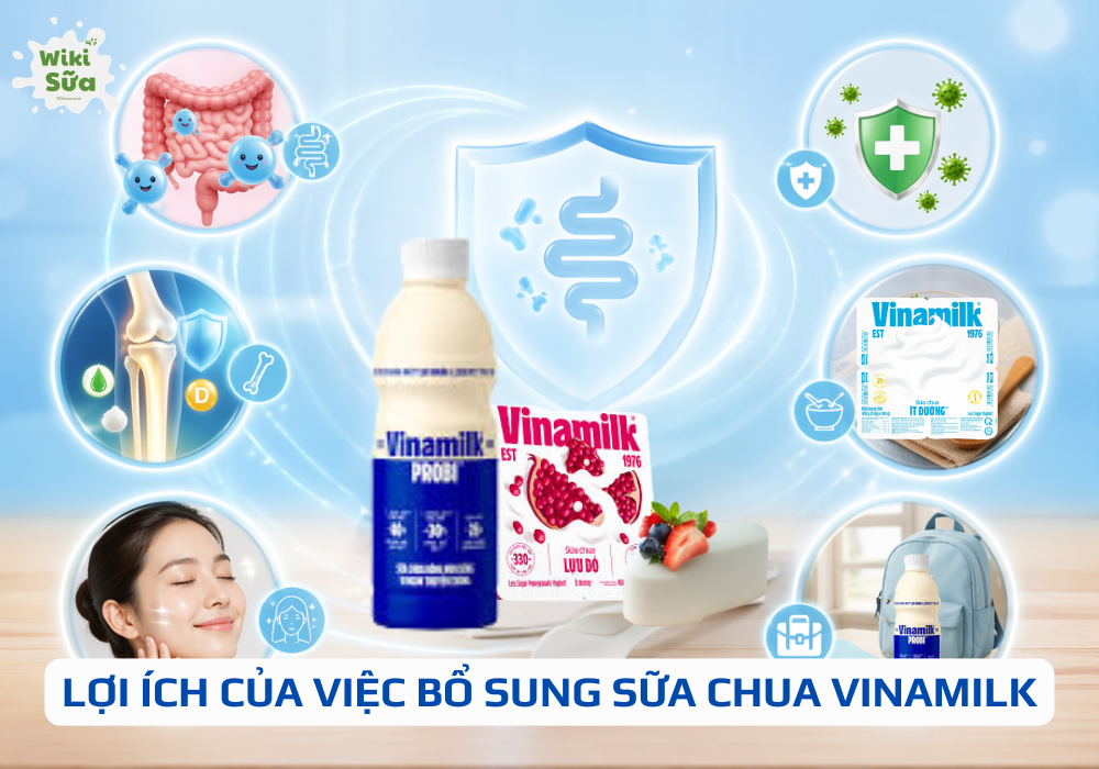 Lợi ích của việc bổ sung sữa chua Vinamilk 