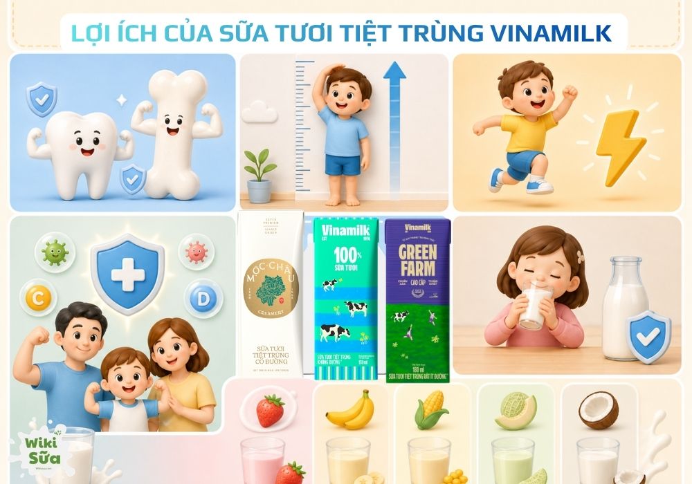 Lợi ích của sữa tươi tiệt trùng Vinamilk 