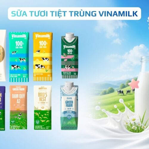 Tổng hợp các loại sữa tươi tiệt trùng Vinamilk được ưa chuộng nhất 2026 