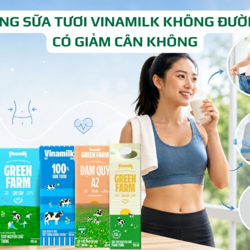 Uống Sữa Tươi Vinamilk Không Đường Có Giảm Cân Không? Giải đáp chi tiết
